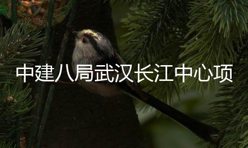 项目大会武汉八局长江中建中心誓师举行千人